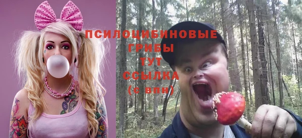 дурь Лиски